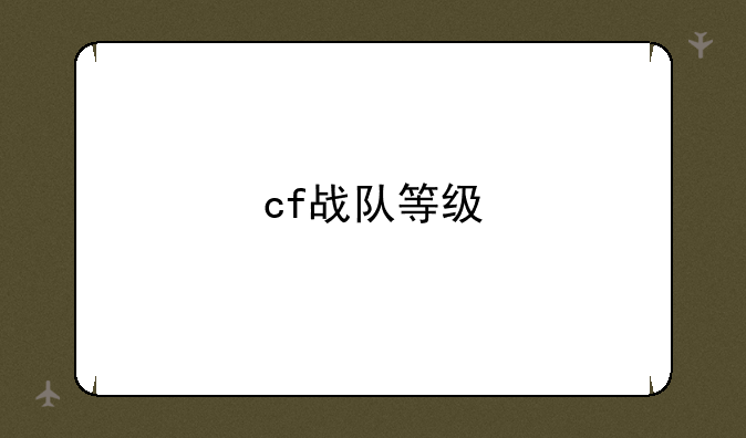 cf战队等级