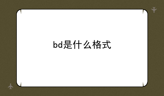 bd是什么格式