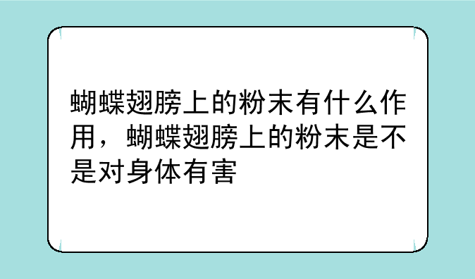 蝴蝶翅膀上的粉末有什么作用，蝴蝶翅膀上的粉末是不是对身体有害