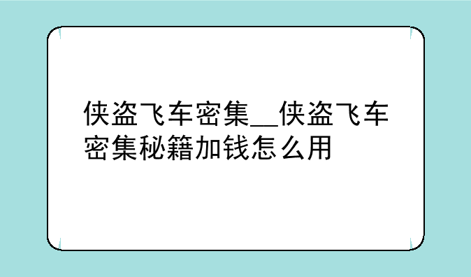 侠盗飞车密集__侠盗飞车密集秘籍加钱怎么用