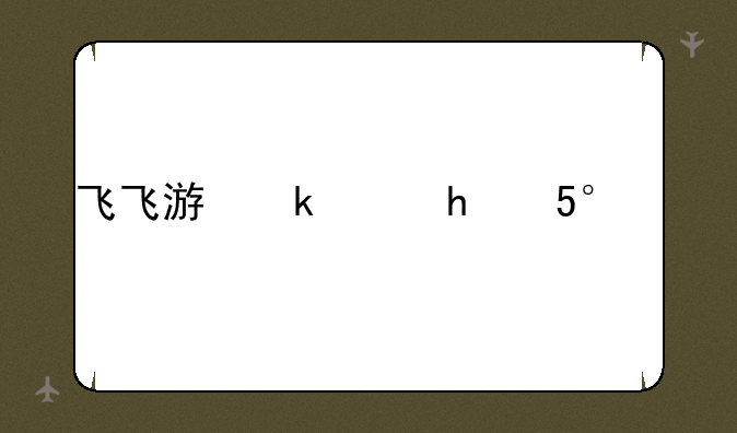 飞飞游戏、飞飞游戏小说