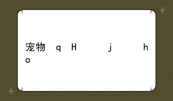 宠物连连看游戏