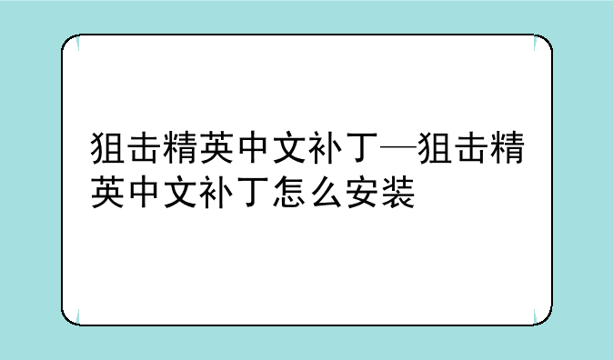 狙击精英中文补丁—狙击精英中文补丁怎么安装