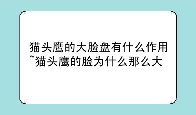 猫头鹰的大脸盘有什么作用~猫头鹰的脸为什么那么大
