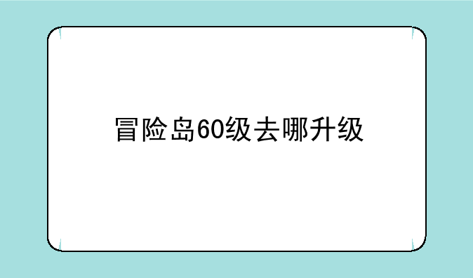 冒险岛60级去哪升级